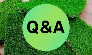 シバますたーとは？