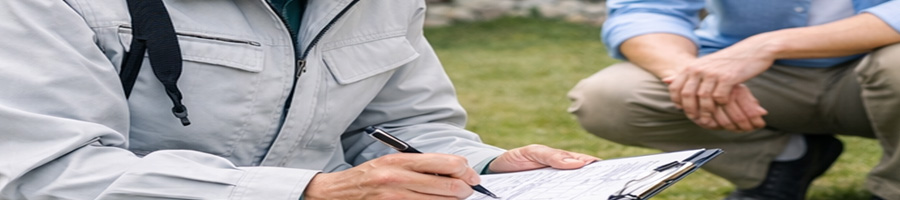 シバますたーとは？